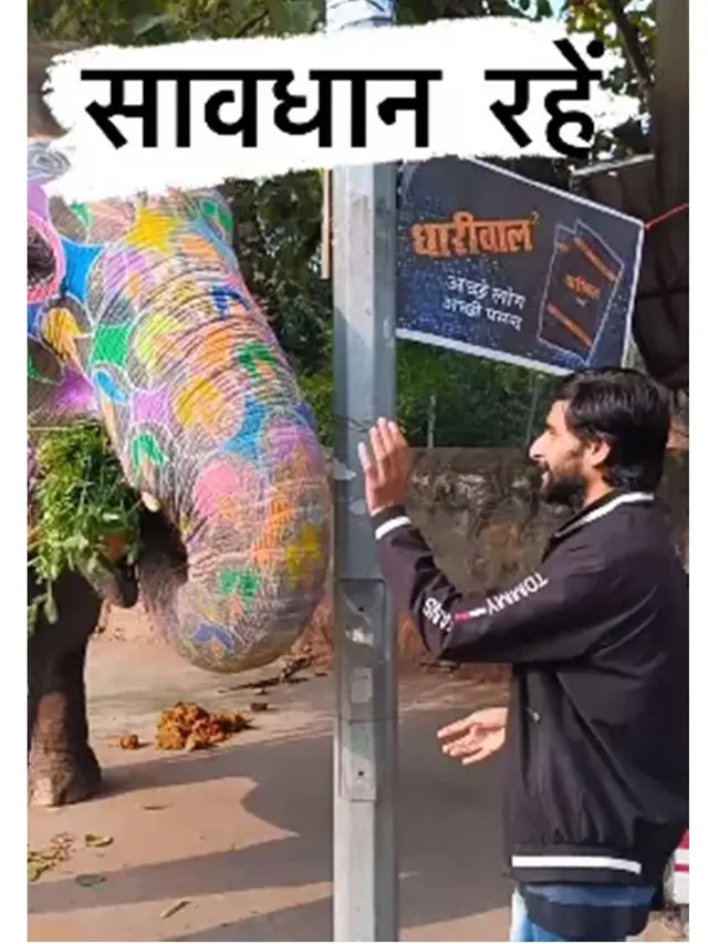 Momen Gajah Bikin Pria Ini 'Terbang' Karena Berdiri Terlalu Dekat, Videonya Viral