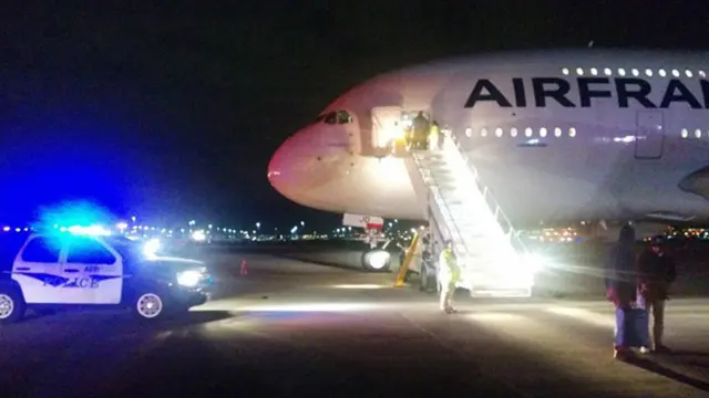 Ilustrasi pesawat Air France.(AFP PHOTO/GEORGE Frey)