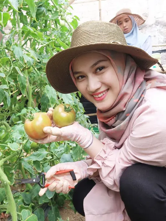 Dengan mengenakan hijab, dan topi melingkar di kepalanya. Melody nampak luwes saat mengolah kebun dan memanen hasil tanaman yang sebelumnya ia pernah ikut menanam di sebuah kebun yang berada di wilayah Cianjur. (Liputan6.com/IG/@melodylaksani92)