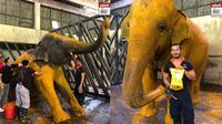 Gajah di Kebun Binatang Ini Perawatan Kulit Dengan Pijat dan Spa dari Kunyit (FB Adabi Consumer)