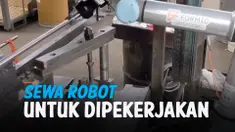 sewa robot