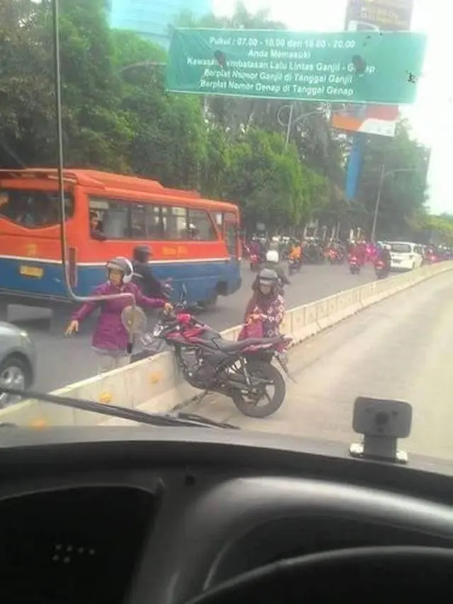 Kumpulan Aksi Ibu-Ibu di Jalan Raya yang Bikin Geregetan (ist)