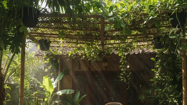 Model Teras Rumah Mungil yang Asri dengan Pot Tanaman Rambat. AI