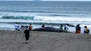 Paus-paus yang terdampar tersebut dilaporkan tidak dapat kembali meskipun terjadi pasang air laut. (Philip FONG/AFP)