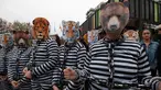 Para pemrotes mengenakan pakaian penjara dan topeng binatang saat melakukan aksinya di Strasbourg, Prancis (12/4). Mereka melakukan aksi untuk menolak penggunaan hewan dalam pertunjukan sirkus. (AFP/Frederick Florin)
