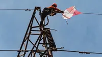 Petugas PLN membersihkan layangan yangtersangkut di kabel listrik. (Dian Kurniawan/Liputan6.com)
