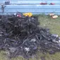 Sisa pesawat yang terbakar di Pondok Cabe (Liputan6.com/Istimewa)