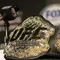 UFC 330 Hadirkan Islam Makhachev vs Ian Machado Garry, Tayang di Vidio