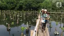Pengunjung saat berjalan di Taman Wisata Alam Mangrove, Angke Kapuk, Jakarta, Kamis (23/6/2022). Kawasan hijau seluas 99,82 hektare ini dikenal sebagai kawasan konservasi alam mangrove yang dimanfaatkan untuk wisata dan rekreasi alam. (merdeka.com/Arie Basuki)