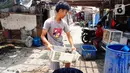 Pekerja membawa kerang hijau di Kawasan Dadap, Kecamatan Kosambi, Kabupaten Tangerang, Rabu (22/9/2021). Kerang hijua tersebut dijual dengan harga Rp 20 ribu per kilogramnya di wilayah Tangerang Raya.. (Liputan6.com/Angga Yuniar)