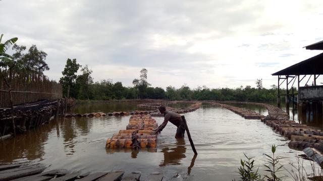 Direktorat Jenderal Perkebunan