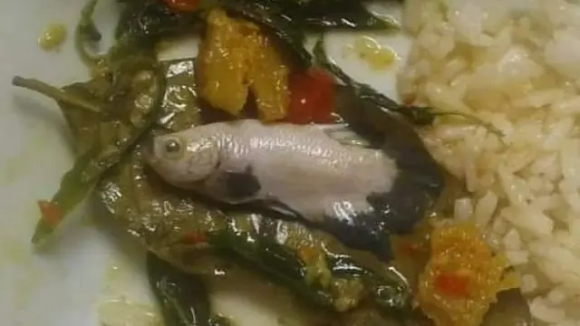6 Lauk Pakai Ikan Belum Matang Ini Nyeleneh, Bikin Hilang Napsu Makan