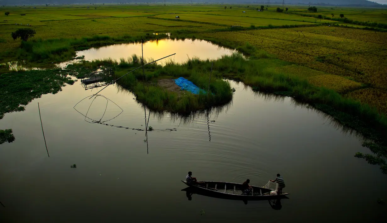 Nelayan menangkap ikan di dekat sawah di pinggiran Gauhati, India, Senin (27/5/2019). Lebih dari 70 persen penduduk India yang berjumlah 1,25 miliar terlibat dalam pertanian. (AP Photo/Anupam Nath)