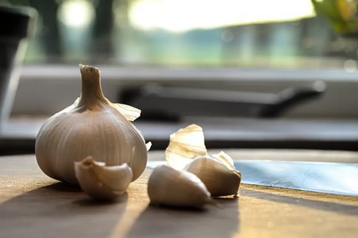 Khasiat bawang putih./Copyright pixabay.com