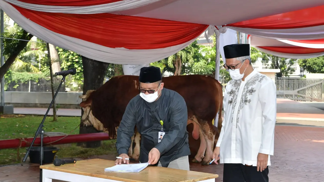 Penyerahan hewan kurban sapi jenis simmental seberat 1 ton dari Wapres Ma'ruf Amin kepada pengurus Masjid Istiqlal, Jakarta. (Foto: Sekretariat Wapres)