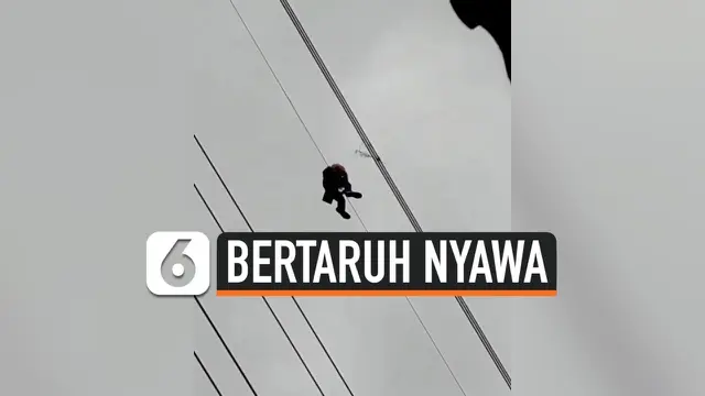 VIDEO: Petugas Gelantungan Demi Bersihkan Kabel Sutet dari Layangan