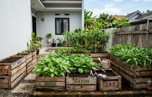 6 Desain Kebun Sayur dari Peti Buah Bekas yang Bikin Halaman Rumah Makin Produktif