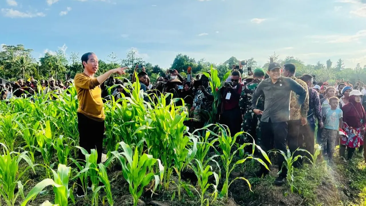 Presiden Joko Widodo atau Jokowi