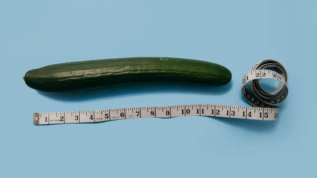 Ilustrasi Ukuran Penis