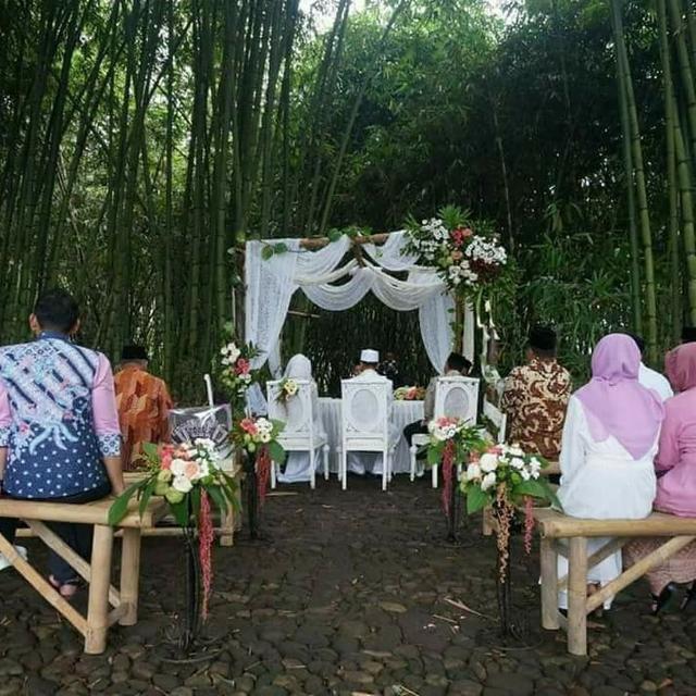 35+ Trend Terbaru Dekorasi Pernikahan Unik Dari Bambu ...