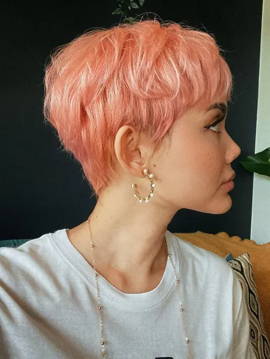 <p>Ternyata dengan gaya pixie cut, Rina Nose juga pernah mewarnai rambutnya dengan warna merah muda seperti ini, loh, Sahabat FIMELA! Foto: Instagram.</p>