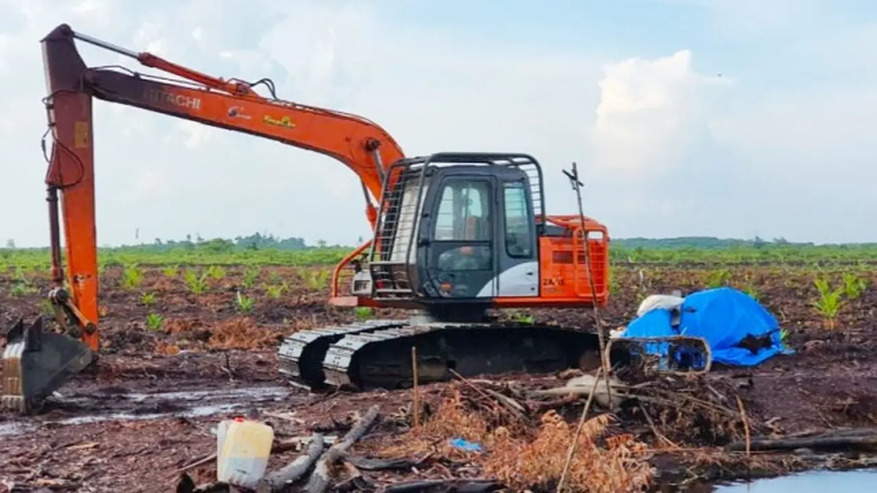 Alat perambah hutan menjadi kebun sawit yang disita Reskrimsus Polda Riau di Kabupaten Bengkalis.