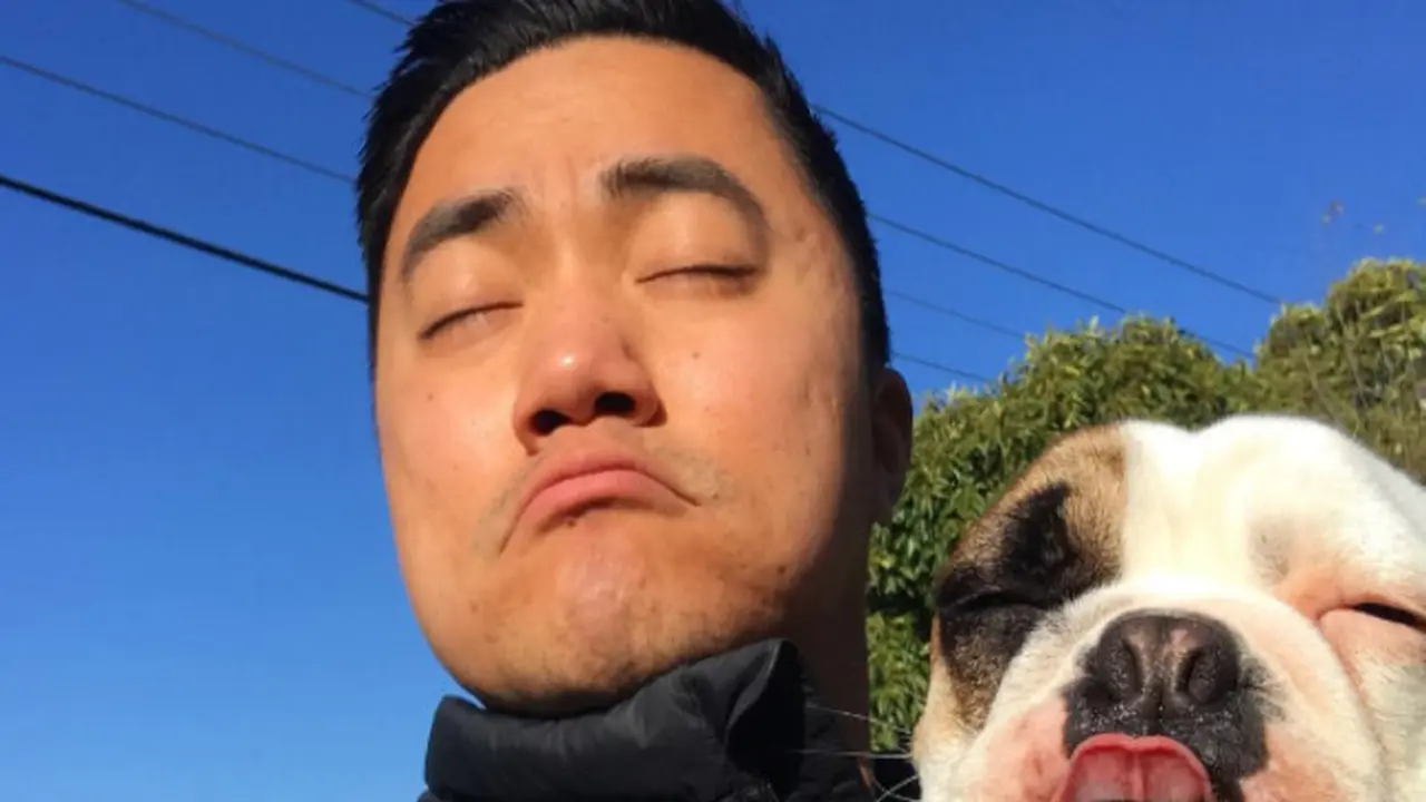 Anjing yang mirip dengan hewan peliharaannya.