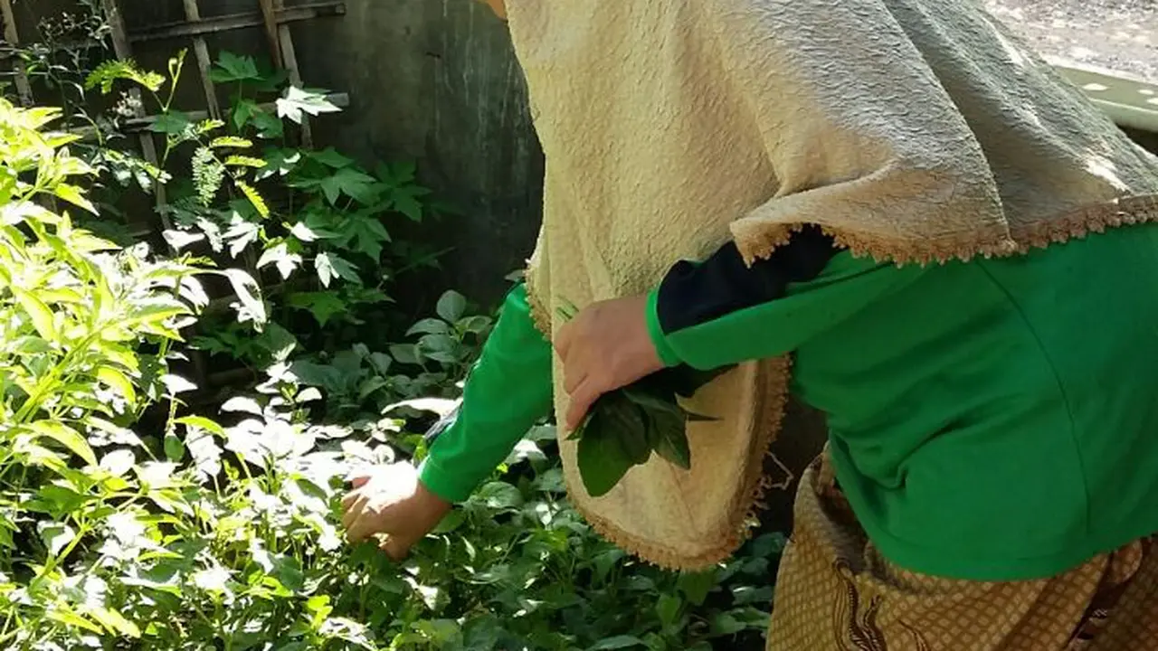 Menanam sayuran tinggi zat besi seperti bayam dan katuk.