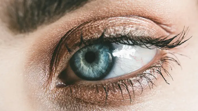 4 Makanan yang Dapat Membuat Penglihatan Tetap Tajam dan Jernih!