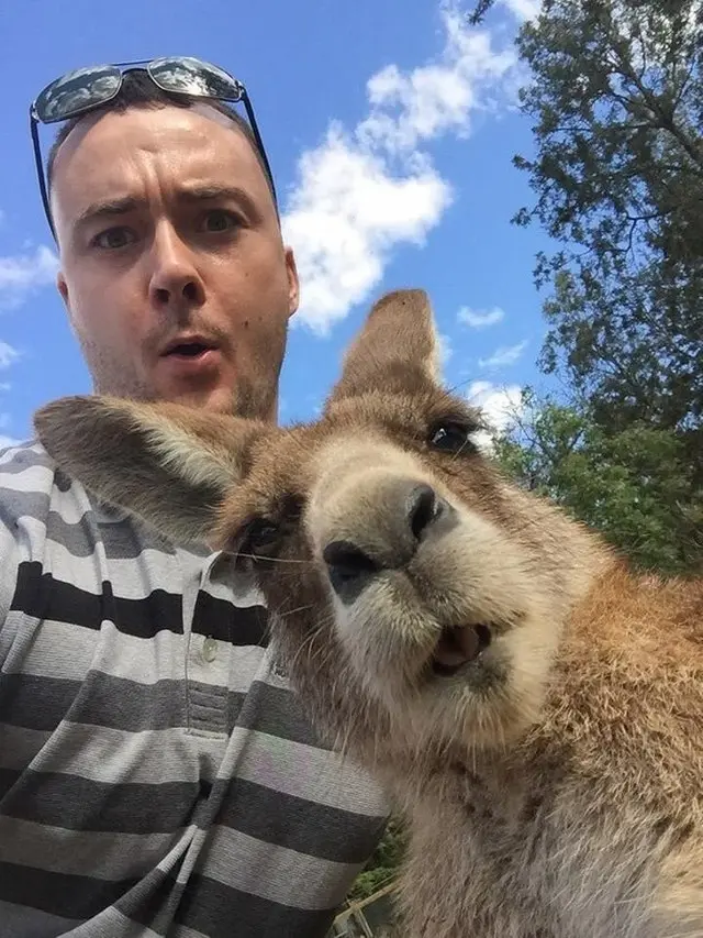 Gemas Banget, 6 Aksi Selfie Bersama Hewan Lucu