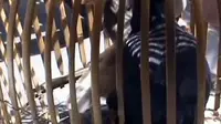 Curi Ayam, Siswa SMA Tewas Dilempar Senjata Arit
