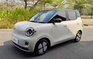 Bukan Gantikan Air ev, Ini Peran Wuling Aira ev