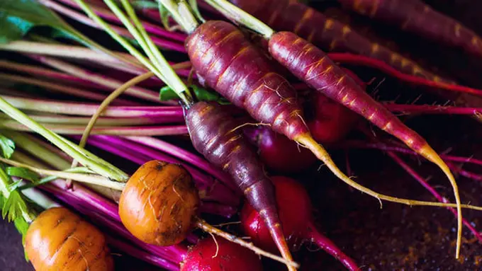 Courtesy ShutterStock.com