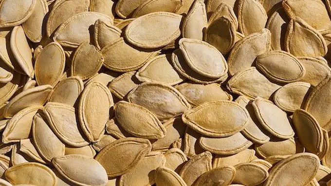 Biji labu/copyright Pixabay.com