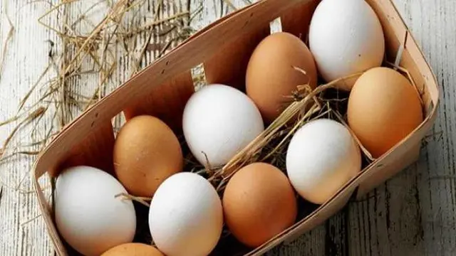 Beda Pemahaman, Tim Olimpiade Norwegia Tak Sengaja Memesan 15.000 Butir Telur