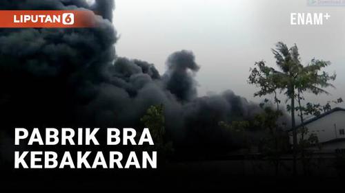 VIDEO: Pabrik Bra di Bantul Kebakaran, Beruntung 1.500 Karyawan Berhasil Selamatkan Diri