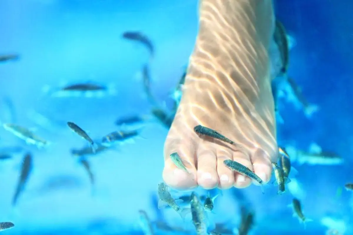Efektifkah Fish Spa untuk Mengatasi Infeksi Jamur di Kaki?