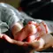 150 Inspirasi Nama Bayi Perempuan Islami Terinspirasi dari Al Quran, 2 dan 3 Kata
