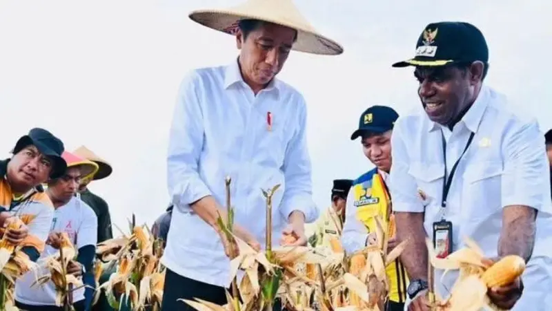 Presiden Joko Widodo (Jokowi) meninjau lokasi pengembangan Food Estate di Kampung Wambes, Kabupaten Keerom, Papua.