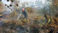 Petugas memadamkan kebakaran lahan di Jalan Riau ujung, Kecamatan Payung Sekaki, Pekanbaru. (Liputan6.com/M Syukur)