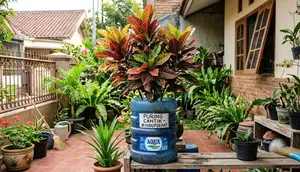 10 Tanaman Hias yang Tumbuh Cantik di Galon Bekas, Mudah Dirawat dan Ramah Pemula
