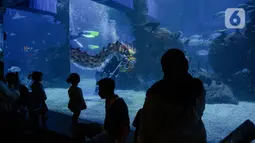 Pengunjung menyaksikan Aksi treatrikal Liong bawah air di Jakarta Aquarium & Safari (JAQS), Jakarta, Kamis (27/1/2022). Kegiatan dalam rangka memeriahkan Tahun Baru Imlek dan menjadi tujuan liburan akhir pekan panjang di dalam kota Jakarta yang aman dan nyaman. (Liputan6.com/Faizal