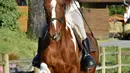Aksi Nicole de Villeneuve (89) saat berlatih berkuda selama sesi pelatihan di Arcachon, Prancis (24/4). Seorang wanita cantik dengan mata hijau-biru mengatakan "Obatku adalah kuda, aku lupa segalanya,". (AFP Photo/Georges Gobet)