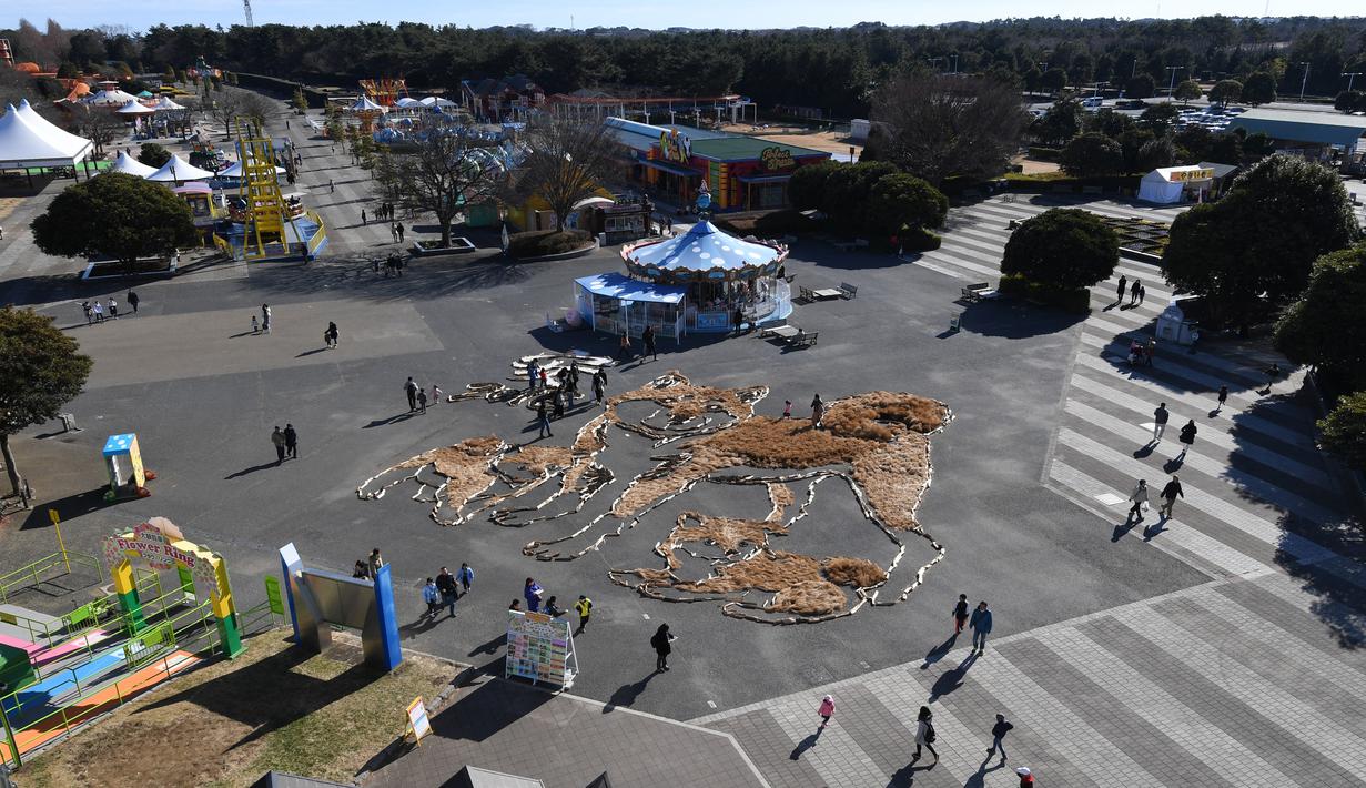 Pandangan dari atas pengunjung melihat gambar seekor anjing Shiba Inu dan dua anaknya berukuran 22.5mx 27m di Taman Seaside Hitachi, Utara Tokyo, (29/12). Kegiatan tersebut untuk merayakan kedatangan Tahun Anjing. (AFP PHOTO / Toshifumi Kitamura)