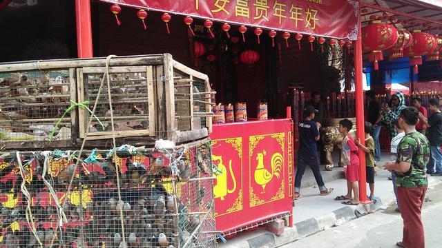 Pedagang burung pipit di depan klenteng Xian Ma Makassar (Liputan6.com/ Eka Hakim)