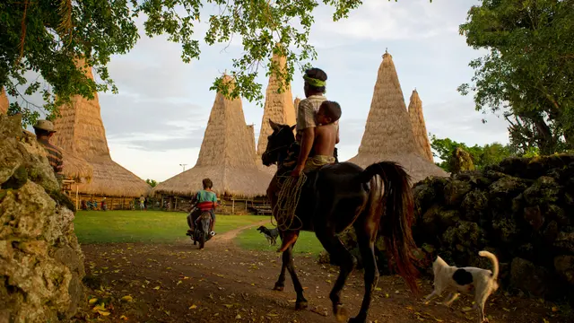 Sumba, negeri seribu savana