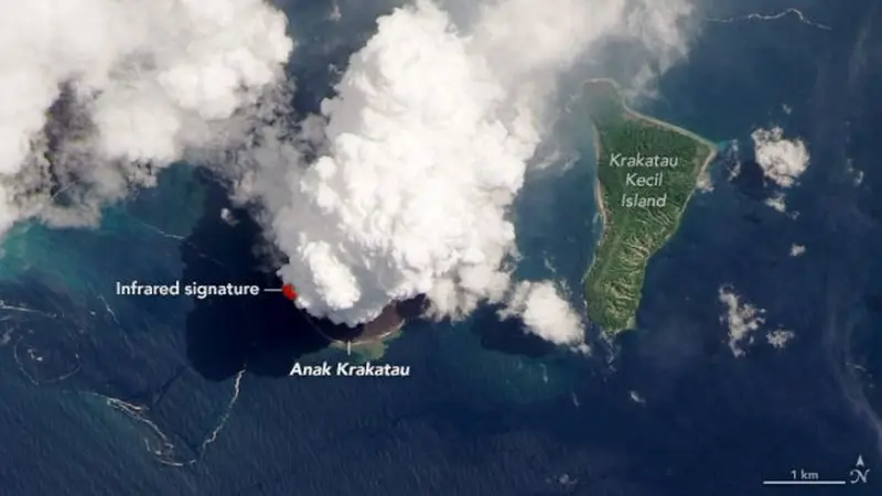 Letusan gunung berapi Anak Krakatau di Selat Sunda antara Jawa dan Sumatra terlihat 13 April 2020 oleh satelit Landsat 8. (NASA Earth Observatory/Lauren Dauphin, Landsat data from the U.S. Geological Survey)