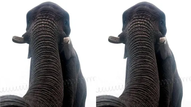 10 Foto Selfie Paling Populer di Dunia Sepanjang 2014