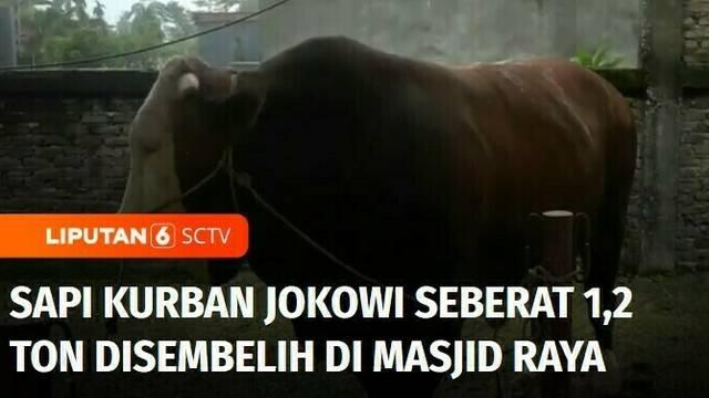 Pada Hari Raya Iduladha tahun ini, Presiden menyumbangkan 68 ekor sapi kurban yang dibagikan di 38 provinsi di Tanah Air. Sejumlah pengurus masjid pun melakukan penyembelihan sapi kurban Presiden.