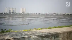 Kondisi waduk Pluit yang mengalami pendangkalan di wilayah Penjaringan, Jakarta Utara, Sabtu (8/6/2019). Endapan lumpur cukup tebal yang diperparah dengan sampah menutupi permukaan air waduk tersebut mengantarkan aroma tidak sedap. (Liputan6.com/Faizal Fanani)